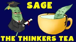 Sage Tea Benefits: Everything You Need to Know