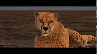 Redshift3d Animation - iClone Cheetah with C4D Fur (Redshift Render, 4K, SDR)