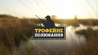 ⚡ Регулювання чисельності шакала та лиса в південному регіоні ▶ Трофейне Полювання №87 1ч. ▶ Трофей