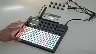 Hologram Chroma Console x Polyend Play+ - Random Sequences 4 -  NoirEtBlancVie