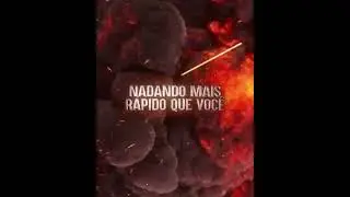 as 5 principais maneiras que um Tigre poderia te matar