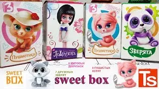 СВИТ БОКС МИКС Коробочки-СЮРПРИЗЫ: Зверята, Пушистики3, Пдружки. Sweet Box MIX