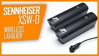 Sennheiser XSW-D Review: Simple Wireless Lavalier Microphone System for Solo Shooters