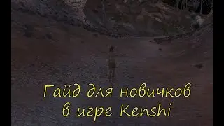 Гайд для новичков в игре Kenshi