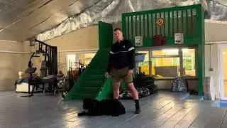 Black Russian Terrier k9 reactivity training! The balanced approach