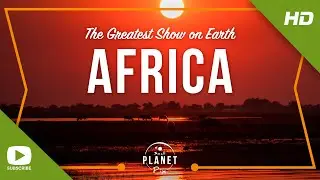 Africa - The Greatest Show On Earth! 6K Photo & 4K video from the Panasonic GH5 and G9 cameras.