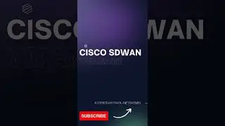 Cisco sdwan Vmanage | viptela VManage  | sdwan interview questions answer 