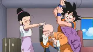 Master Roshi Wants to Pafu Pafu Chi Chi's Breasts