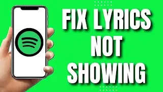 How to Spotify Lyrics Not Showing Working (Quick Guide)