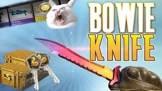 ОТКРЫВАЕМ BOWIE KNIFE  - ОТКРЫТИЕ НОВЫХ WILDFIRE CASE В CS GO !
