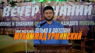 Такие маджлисы только в Дагестане