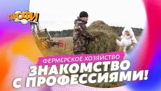 Тайны фермерской жизни: что происходит настоящей на ферме?