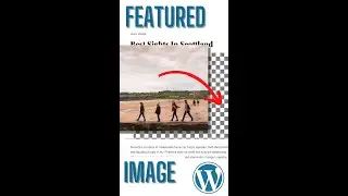 How To Add Featured Images To WordPress Posts 