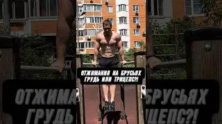 🔥ОТЖИМАНИЯ НА БРУСЬЯХ: ГРУДЬ ИЛИ ТРИЦЕПС?!