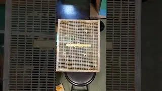 что не так с пластиковой гениманкой