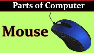 Top 10 Computer Parts Name With Picture , Computer parts name List. Basic Parts of Computer 2024