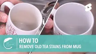 How to Remove Old Tea Stains From Mug | Clean Tea Stains #shorts