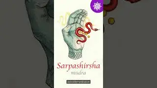 Sarpashirsha Mudra для очищения организма и улучшения дыхания | Мудра змеиной головы