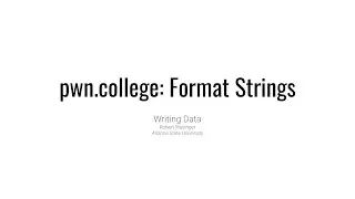 Format String Exploits - Writing Data