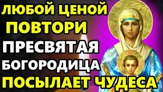 ЛЮБОЙ ЦЕНОЙ ПРОЧТИ 1 РАЗ НА СЧАСТЬЕ И УДАЧУ! Сильная молитва Богородице. Православие