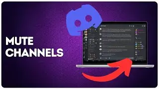 How to mute channels on Discord?