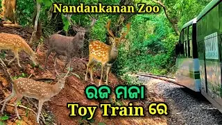 ରଜରେ ମଜା ନିଅନ୍ତୁ toy train ରେ, nandankanan toy train, nandankanan zoological park bhubaneswar