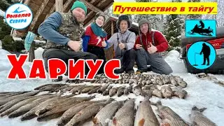 ✅ ЛОВЛЯ ХАРИУСА НА ТАЁЖНОЙ РЕЧКЕ🎣🐟☀️☀️☀️ СМОТРЕТЬ ОБЯЗАТЕЛЬНО!!☝️😃💪 #рыболов_севера