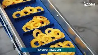 PND RR8 Ringsnijmachine voor appel en perzik