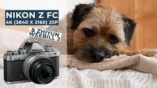 Nikon Z fc Animal Eye AF