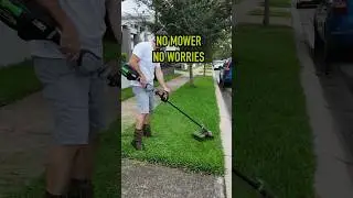 How to mow a lawn (without a lawn mower) #satisfying #certifiedlawndetailer