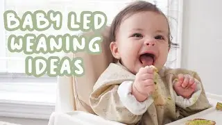 WHAT MY 8 MONTH OLD EATS IN A DAY | Baby Led Weaning and Breastfed