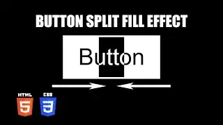 Button Split Fill Hover Effect | HTML & CSS Tutorial