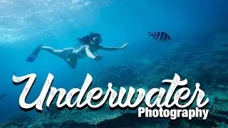 Underwater Photography Guide Equipment and Tipps - Benjamin Jaworskyj learn Photograper