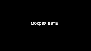 Невзоров. Мокрая вата.