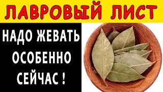 Что будет, если ПОЖЕВАТЬ ЛАВРОВЫЙ ЛИСТ 👍 Необратимые изменения произойдут в организме - ОЧИЩЕНИЕ ...