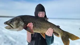 4 Days Fishing & Camping in Alaska - Lake Trout Catch & Cook (Catching Every Fish in Alaska)