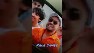 Kana Jambe ❌ International Hits ❌ Bogdan Artistu ❌ #roterramusic