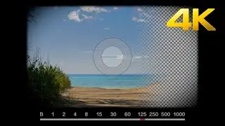 Vintage Camera Viewfinder, Shutter Clicks Stock Motion Graphics