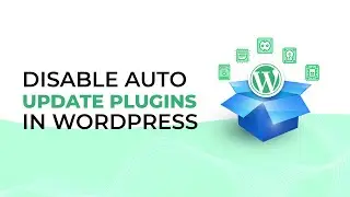 How to Disable Auto Update Plugins in WordPress Correctly | Themeim