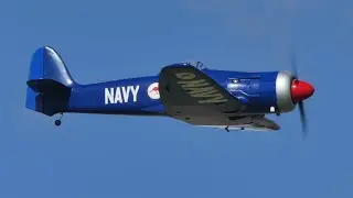 RC Sea Fury beats up the field at KAMS Warbirds April 2023