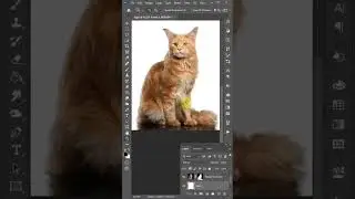 How to select difficult objects in Photoshop 