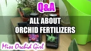 Q&A - How to fertilize Orchids and what is the best fertilizer?