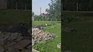 Проблема в поведении