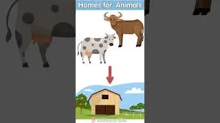 Human-Made Homes for Animals