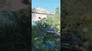 Сказочный сад. Водоем
