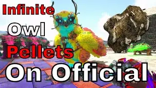 How to Get Infinite Snow Owl Pellets in Official ark