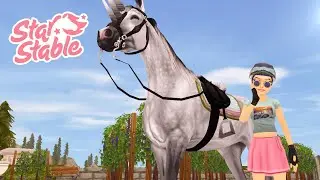 Star Stable Items That you NEED To Get! 👚👖