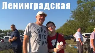 Птичий рынок. Ленинградская. [11.08.2024]