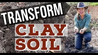 How Do I Improve Heavy Clay Soil in the Garden?