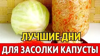 В ФЕВРАЛЕ 2024. Когда солить капусту, чтобы была очень вкусной! Лучшие даты по лунному календарю